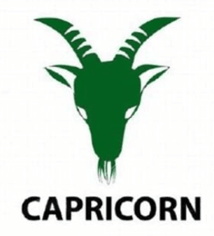 Capricorn Zodiac Sign Love Compatibility